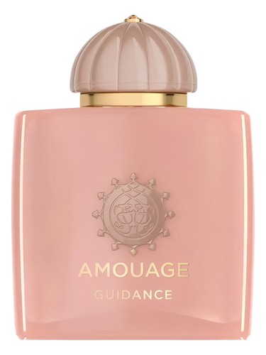 Guidance bottle